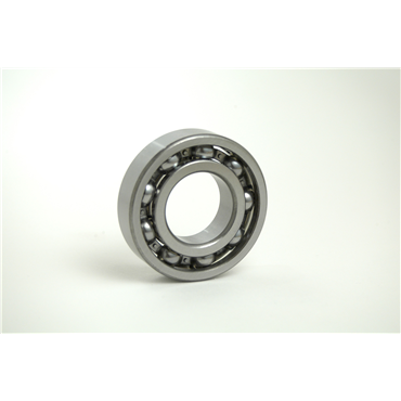 Bearings Limited6024/C3  TTN